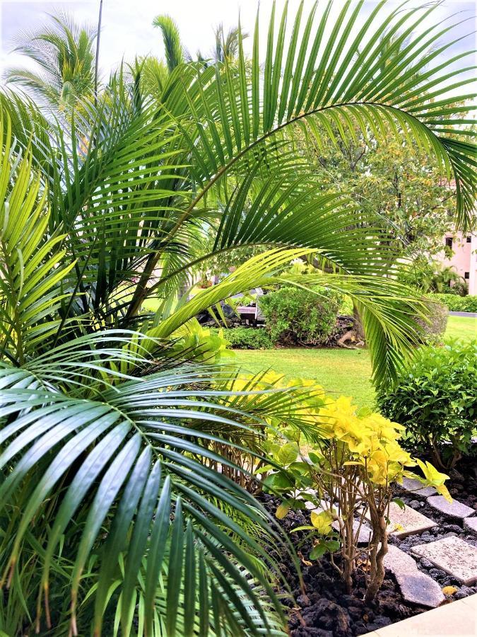 Coconut At Shores - Waikoloa Beach Resort ภายนอก รูปภาพ